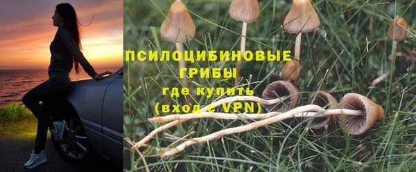 MDMA Нязепетровск