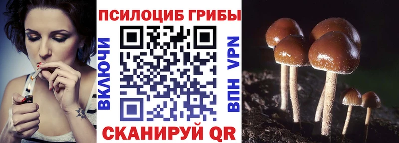 Галлюциногенные грибы прущие грибы  ОМГ ОМГ ссылки  Липки 