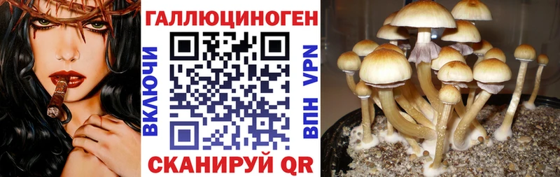 Галлюциногенные грибы мицелий Липки